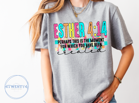Esther 4:14 - Perhaps This Is the Moment T-Shirt