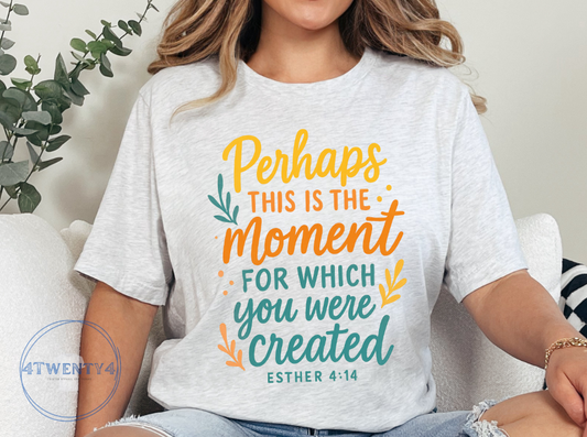 🧡 Perhaps This Is the Moment T-Shirt