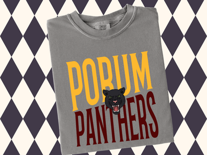 Hometown Slant T-Shirt | Any Mascot • Any Color | Youth • Adult