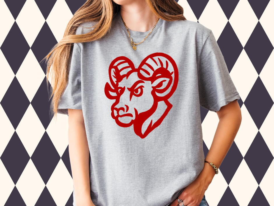Doodle Mascot T-Shirt • Sweatshirt | Most Mascots Available