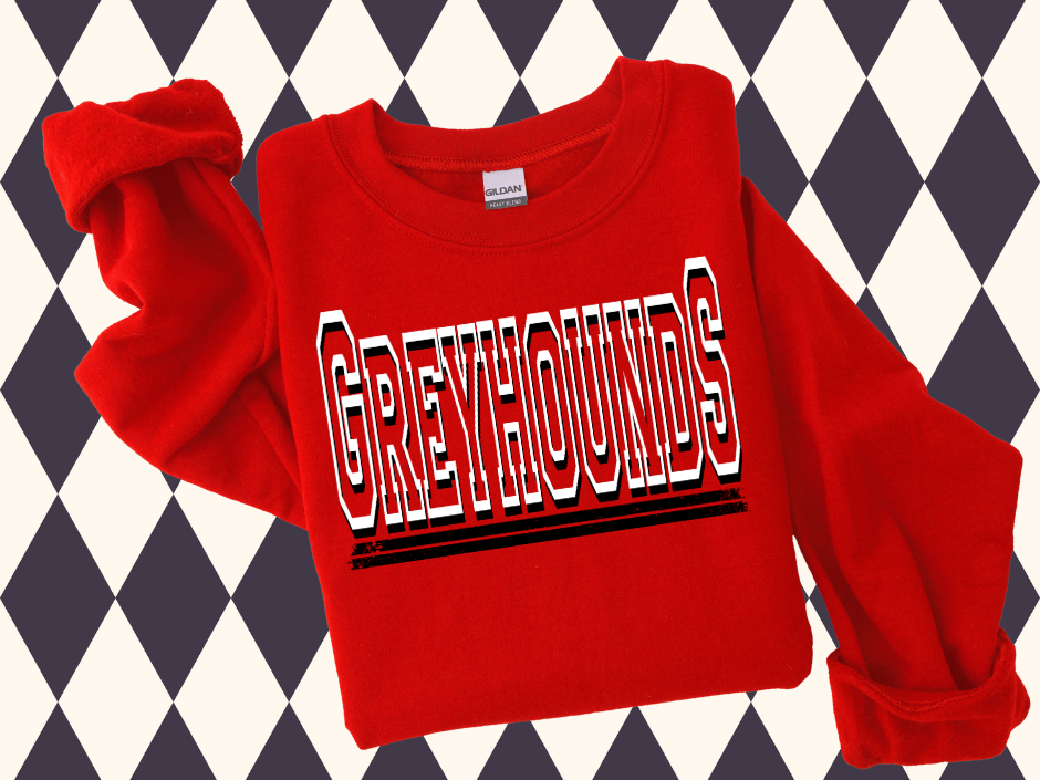 Game Day Block T-Shirt- Sweatshirt | Most Mascots Available